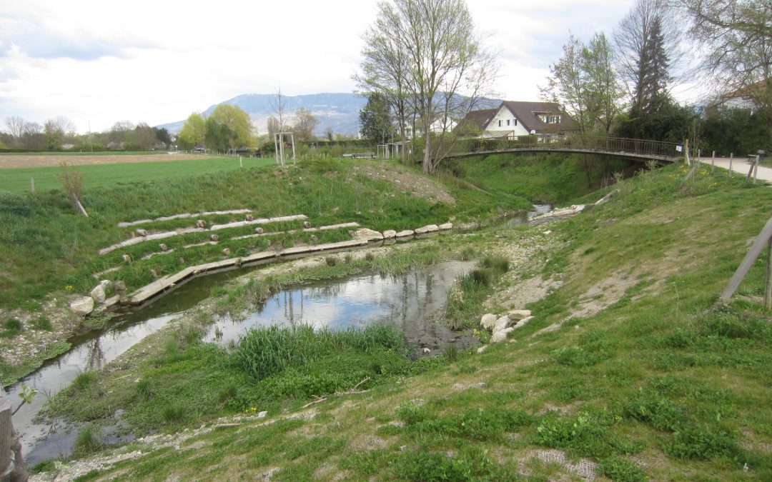 Renaturation of the Seymaz, Sector Pont Bochet – Thônex / Vandœuvres – Switzerland