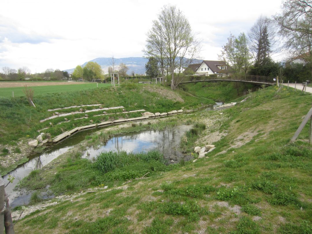 Renaturation of the Seymaz, Sector Pont Bochet – Thônex / Vandœuvres – Switzerland